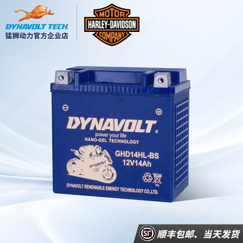 Harley Fat Boy Heuer Softail Commander Street Fighter Luwei Glide 883/X48 Tough Guy 750 Motorcycle Battery