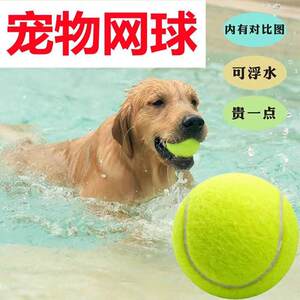 Dog toy ball self -relieving stuffy artifact Pet Pets Gold Mao Corki Black Big Training Mask Tennis Rubber