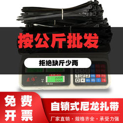 National Standard Nylon Cable Ties, Black Plastic Wire Ties, Large and Small Sizes, Strong Buckle, Cable Bundling Straps, Fixing and Binding Ropes