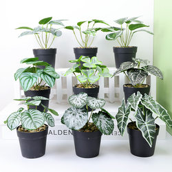 Artificial Tree Plants, Green Potted Plants, Indoor Living Room Small Fake Bonsai Floor-Standing Ornaments, Office Artificial Green Plants Wholesale