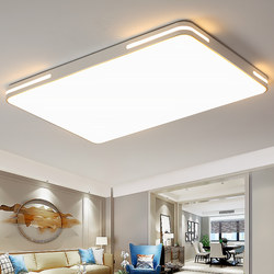 Full Spectrum 2025 New Ultra-Thin Living Room Lamp, Simple Modern Atmospheric Bedroom Lamp, Led Ceiling Light Fixture