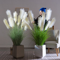 Light Luxury High-End Reed Grass Artificial Floral Arrangements, Green Plants, Fake Bouquets, Fake Trees, Living Room Decorations, Landscaping, Floor-Standing Decorations