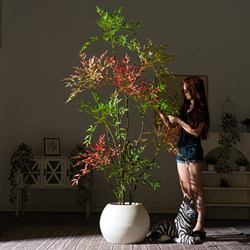 Simulated Green Plant Nandina Bamboo High-End Light Luxury Floor-Standing Ornament Advanced Bionic Fake Tree Indoor Living Room Home Plant Tree