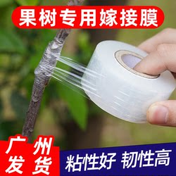 Special Grafting Film Pe No Need to Knot Self-Adhesive Film for Garden Fruit Tree Grafting Tape Wrapping Tape Wrapping Film