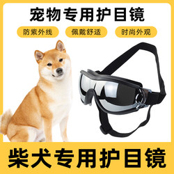 Shiba Inu special sunglasses small dog cycling windproof