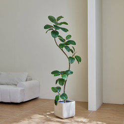 Artificial Green Plant Rubber Tree High-End Light Luxury Indoor Floor-Standing Large Plant Ornament Nordic Simple Cream Style Decoration