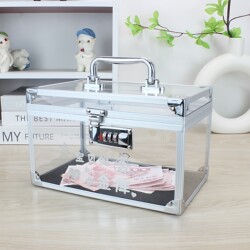 2026 New Model Piggy Bank for Children, Can Deposit and Withdraw, Password Lock for Girls, Large Transparent Cash Savings Bank, Visible