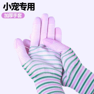 
Pet anti-bite gloves for hamsters, golden bears, squirrels, small animals, anti-scratch cleaning and sanitary disposable transparent gloves