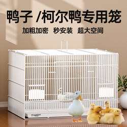 Duck-Specific Cage, Cole Duck Cage Supplies, House Nursery Room, Indoor and Outdoor Large Luxury Villa Duckling Breeding Cage