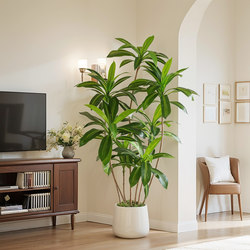 Brazilian Wood Artificial Green Plant with a High-End Feel for Indoor Living Room Tv Cabinet Decoration, Floor-Standing Ornament, Simulated Plant, Fake Potted Plant