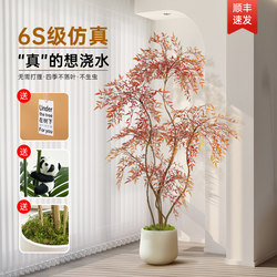 Simulated Red Nandina Bamboo, High-End Light Luxury Artificial Green Plant, Indoor Balcony Decoration, Floor-Standing Ornament, Potted Plant, Artificial Tree