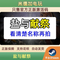 Steam Salt and Sacrifice (See the Name Clearly) Salt and Sacrifice China Region Global Official Cdk