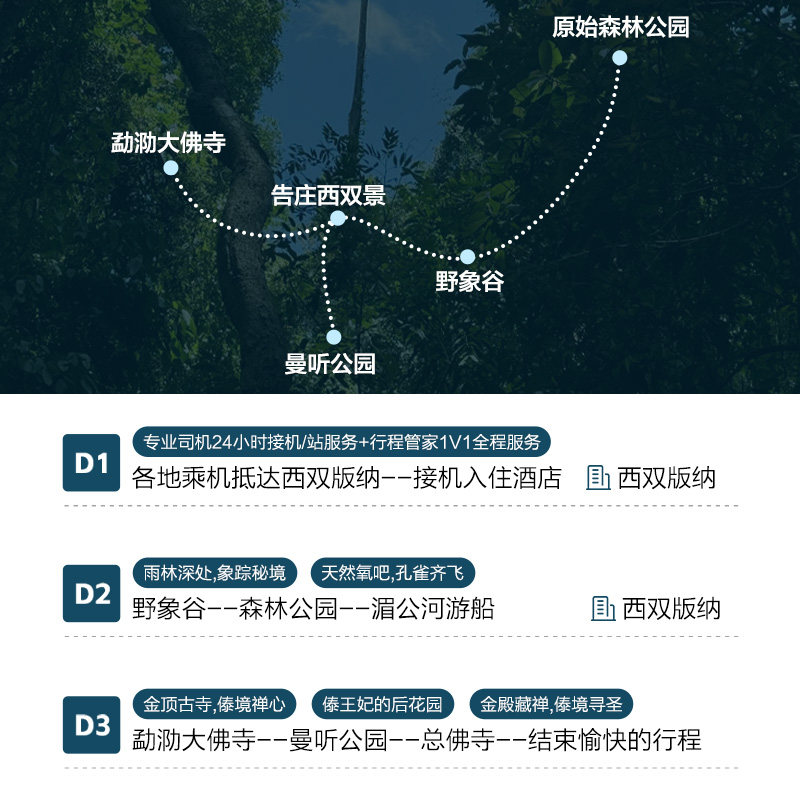 2-6人小团西双版纳3日游版纳野象谷曼听公园大佛寺森林公园3天2晚
