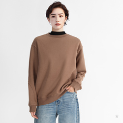 Small Sweatshirt Series Swt4 Brown Boyfriend Style Pullover Sweatshirt