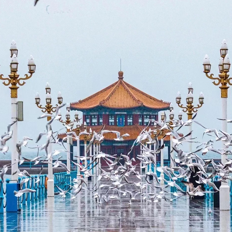 青岛旅游市内一日游私家团纯玩跟团游 欧式教堂+沿海全景+广兴里