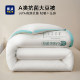 Soybean fiber quilt winter quilt quilt core thickened to keep warm 2025 new spring and autumn quilt single-person space conditioner quilt winter