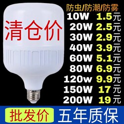 Led Light Bulb Household E27 Screw-Mount Energy-Saving Lamp White Light Ultra-Bright Indoor Eye Protection Flicker-Free High-Power Lighting Bulb
