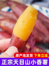 临安天目山小香薯2/3/5斤装