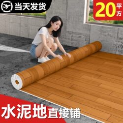 Carpet for Living Room, Bedroom, Room Floor, Direct Laying on Cement Floor, Waterproof Floor Mat, Large Area Full Coverage