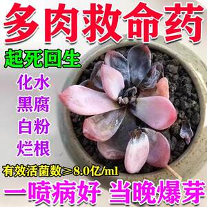 
Special fat for succulents and special medicine for black spots and nutrient solution to improve diseases, powdery mildew, black rot, bactericidal medicine, complete clearance