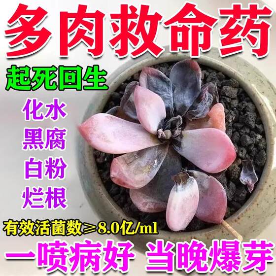 
Special fat for succulents and special medicine for black spots and nutrient solution to improve diseases, powdery mildew, black rot, bactericidal medicine, complete clearance