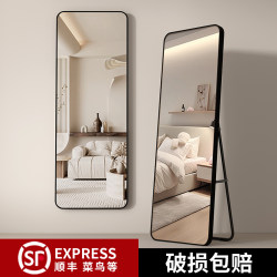 Full-Length Mirror, Floor-Standing Dressing Mirror, Full-Body Home Wall-Mounted Mirror, Popular on Social Media, Girls' Bedroom, Clothing Store Fitting Mirror