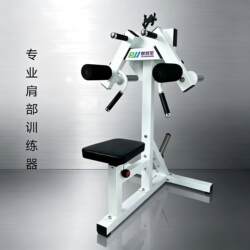 Commercial Shoulder Trainer Seated Side Raise Split Motion Shoulder Lift Gym Personal Training Deltoid Muscle Shoulder Lift Equipment for Home Use