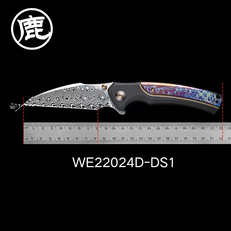 We Knife Ziffius folding knife WE22024