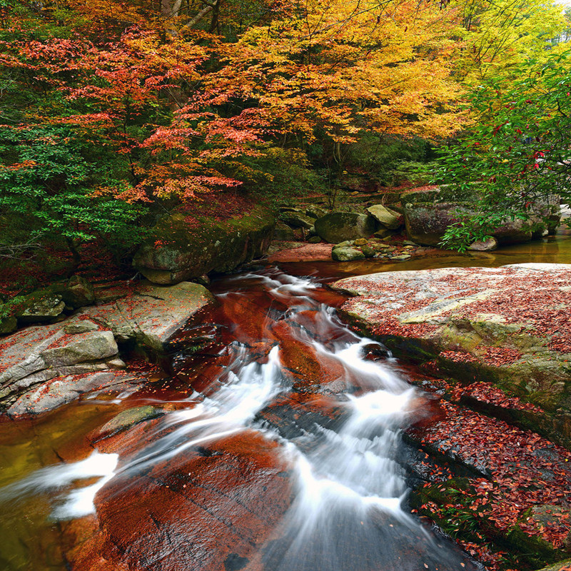 西安巴中汉中米仓山光雾山十八月潭黎坪留坝十八月潭包车游 汉中