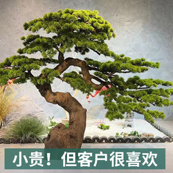 Artificial Pine Tree Bonsai, Zen Garden, Fake Tree for Real Estate Offices, Staircase Entrance, Indoor Dry Landscape, Green Plant Decoration and Landscaping