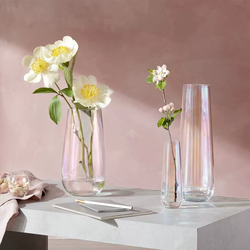 Lsa手工玻璃花瓶高级感ins风透明现代北欧花瓶客厅摆件家居饰品