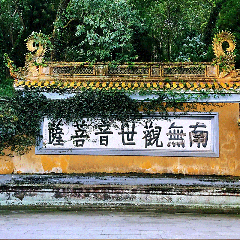 一价全含浙江宁波/舟山普陀山旅游1日游慧济寺南海观音不肯去观音