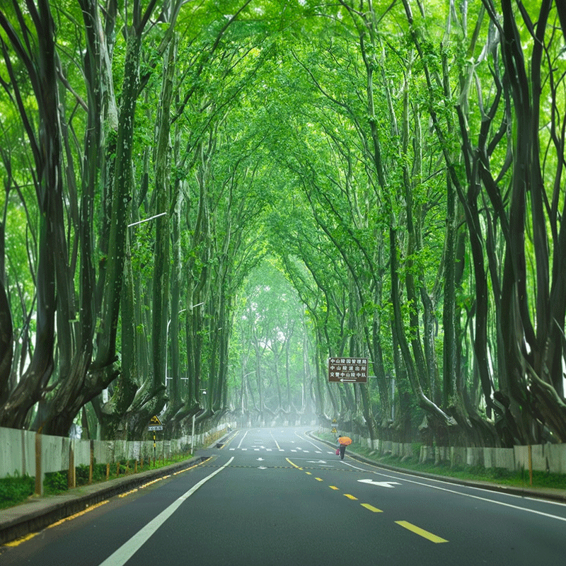 【18人团】飞机上海迪士尼旅游7天6晚南京苏州杭州乌镇西栅跟团游