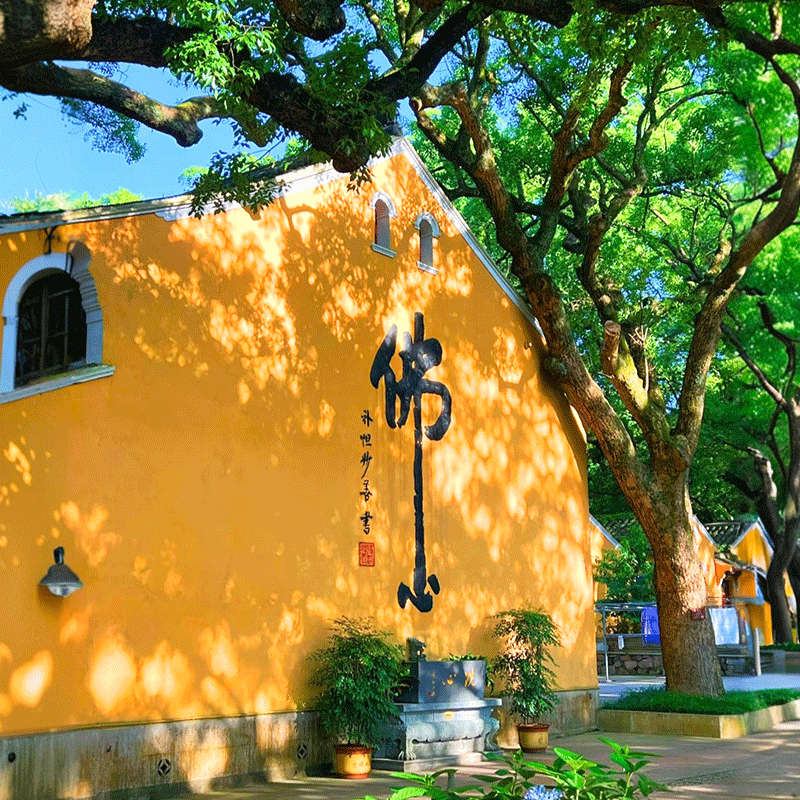 【私家独立团】高铁/飞机舟山普陀山旅游3天2晚西天善财洞普济寺