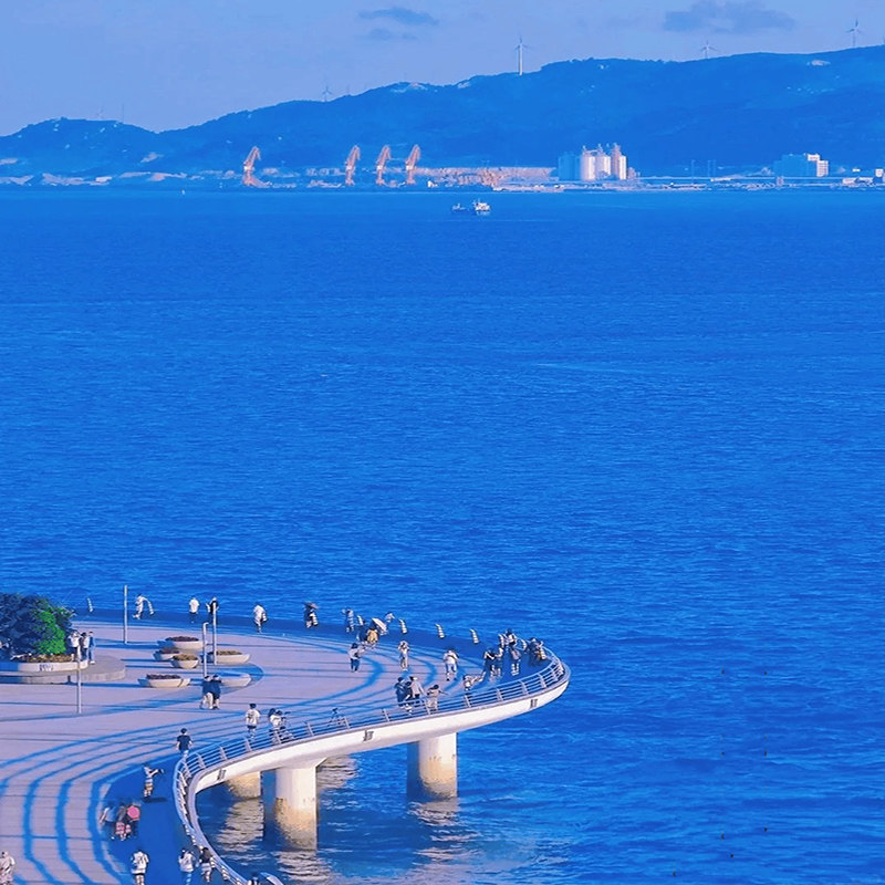 厦门旅游0购物5日游【含机票】1天自由活动+鼓浪屿市区精华跟团游