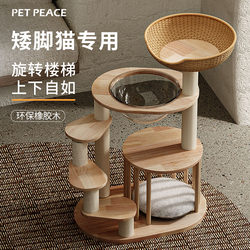 Petpeace Short-Legged Cat Climbing Frame Solid Wood Cat House Cat Tree Integrated Small Kitten Jumping Platform Maneki-Neko Short-Legged Cat Stand