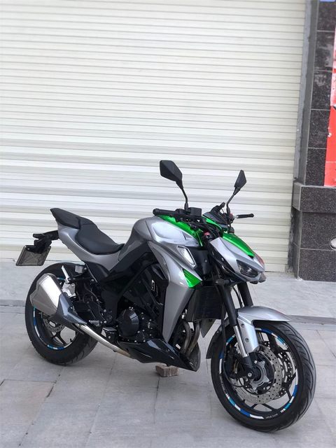 Kawasaki Z1000 Motorcycle Python N19 domestic H2 Little Ninja Double ...