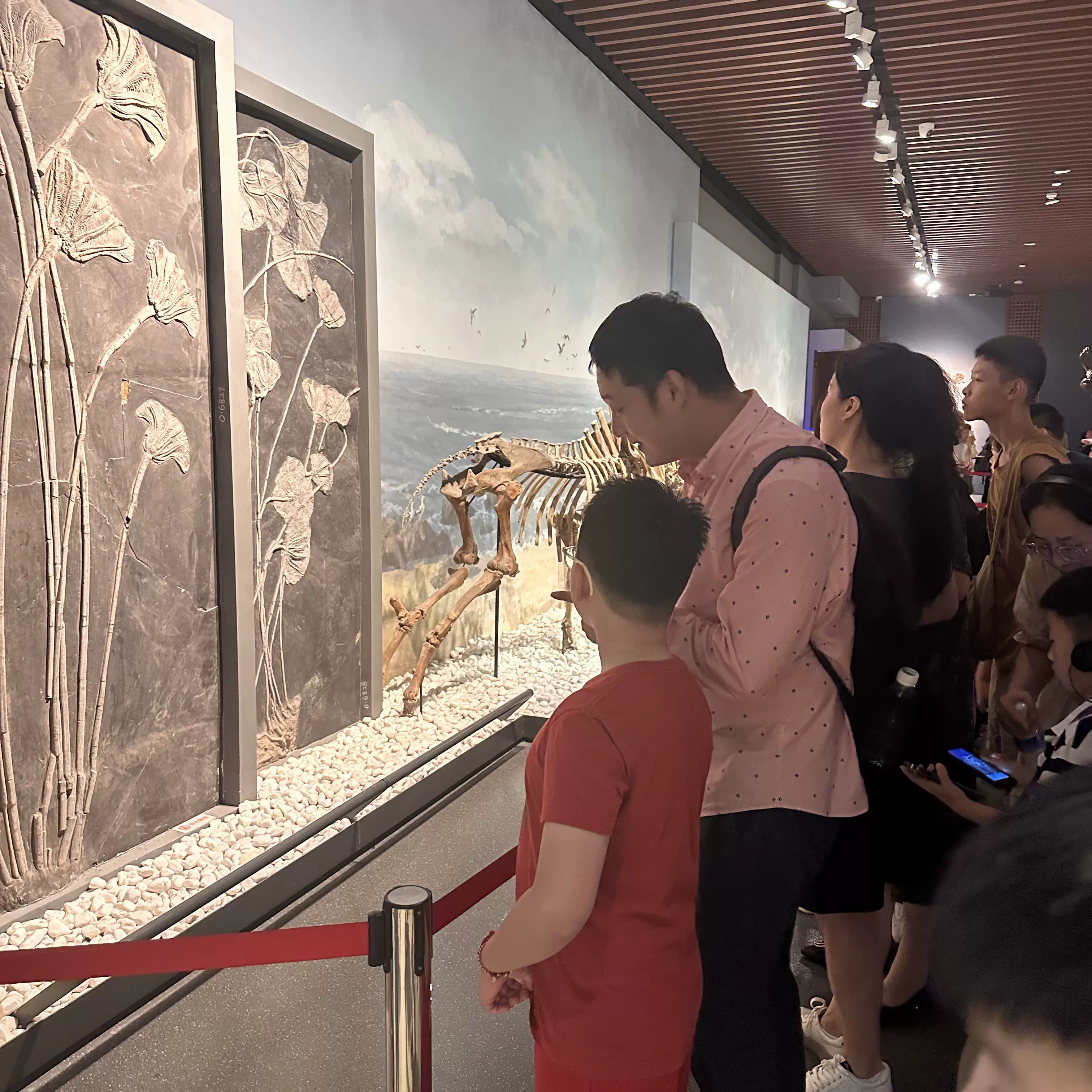 猩咖说®南京博物院2-3H大咖讲解亲子VIP小包团南京旅游