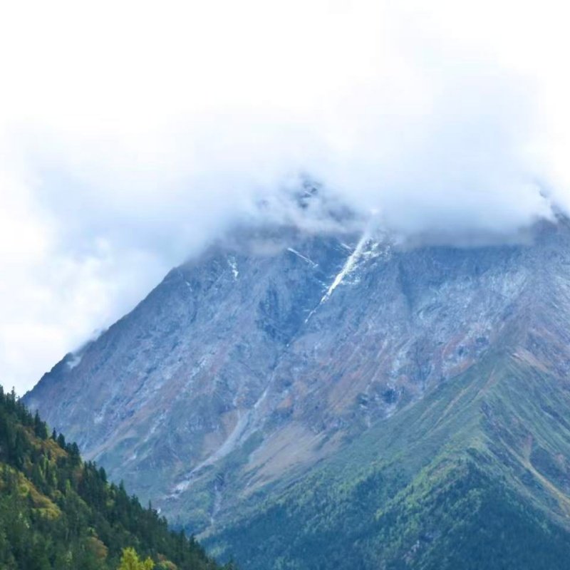 成都往返★四姑娘山含门票纯玩一日游可选双桥沟或长坪沟四川旅游