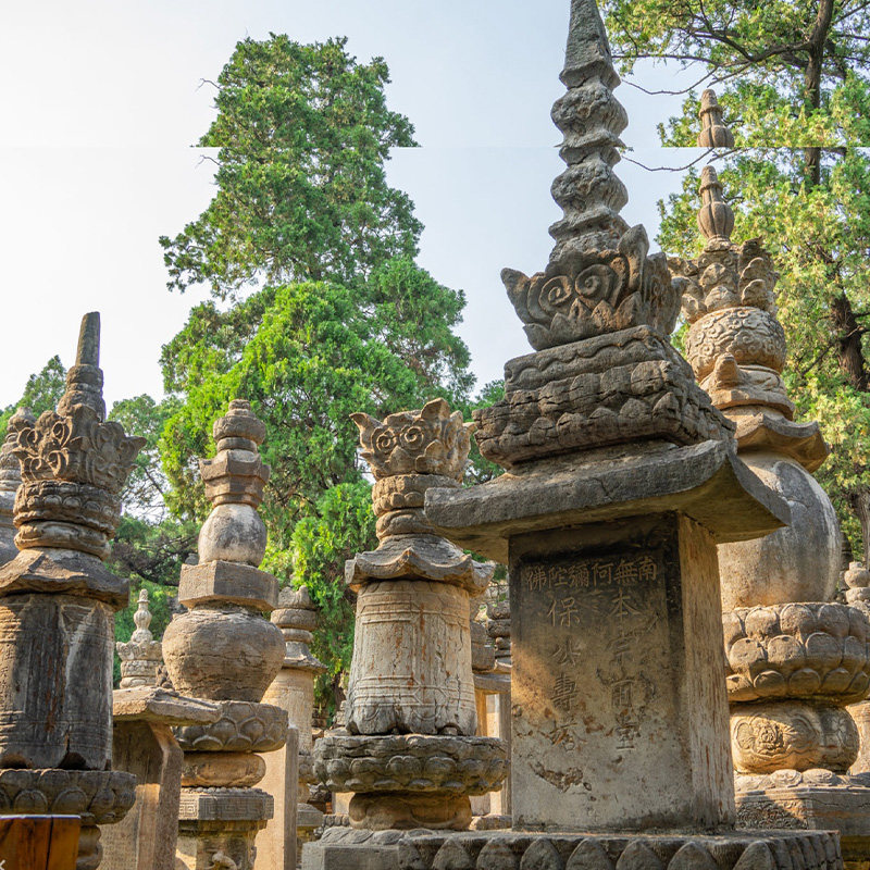 猩咖说山东省灵岩寺含门票2H大咖人工讲解VIP包团济南旅游