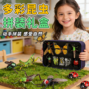 
Animal assembly model 4d three-dimensional insect building blocks toy puzzle children's puzzle 3 to 6 years old 12 boys 0 handmade 8