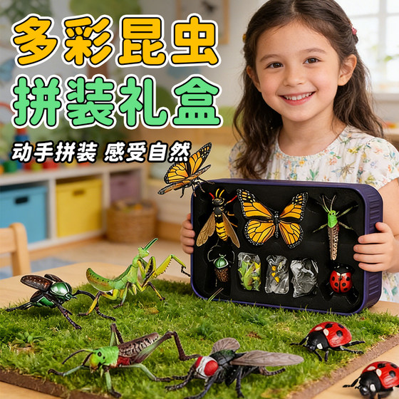 
Animal assembly model 4d three-dimensional insect building blocks toy puzzle children's puzzle 3 to 6 years old 12 boys 0 handmade 8