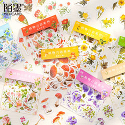 Momo Coated Paper Sticker Pack Plant Language Series Creative Plant Diary DIY Decoration Material Sticker