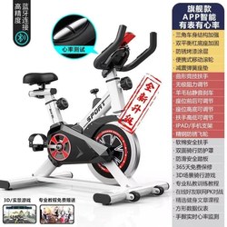 Household Small Bicycle Fitness Equipment, Pedal-Powered Spinning Bike, Professional Sports Silent Indoor Exercise Machine