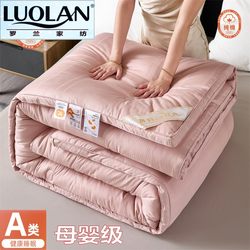 Roland Home Textiles 100% Pure Cotton Class a Soybean Fiber Quilt Spring and Autumn Quilt Core Thickened Warm Winter Quilt Single and Double Bedding
