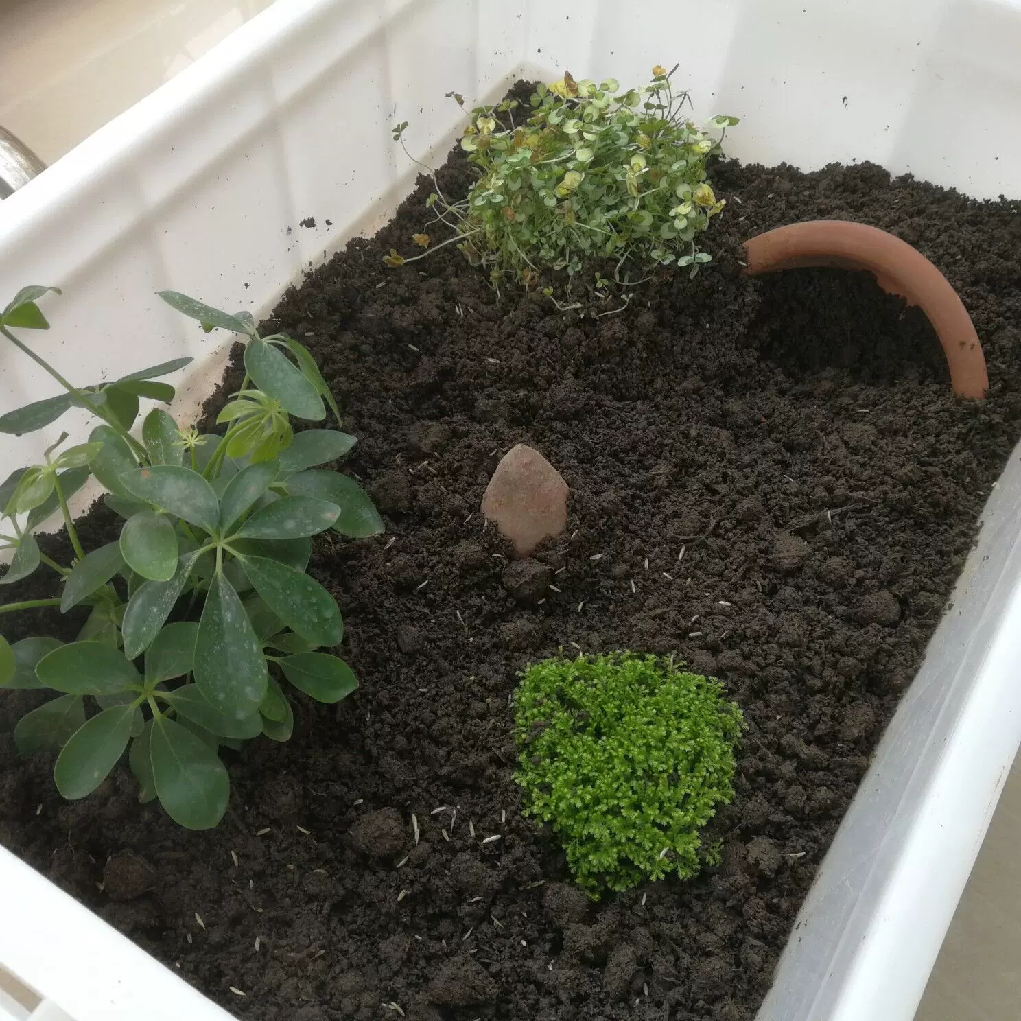 新鲜山泥 纯净山泥土 种菜种花土 庭院阳台营养土大包装黑山泥