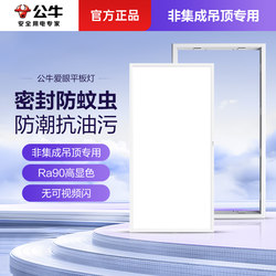 Bull Gypsum Board Ceiling Light 30*60 Ceiling Lamp 30X30 Kitchen Bathroom Flat Panel Light 300*600