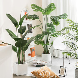 Artificial Green Plants, Fake Plant Pots, Large Floor-Standing Decorations, Traveler's Banana Tree, Areca Palm, Hanging Bell Tree, Window Display Landscaping, Popular Online