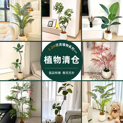 Clearance Sale of High-End Luxury Artificial Green Plants, Large Decorative Ornaments for Living Rooms, High-Quality Realistic Indoor Floor-Standing Fake Trees