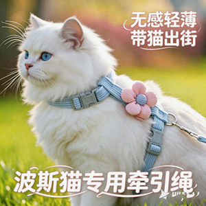 
Persian cat special kitten traction rope cat pet kitten anti-breakaway harness traction cat rope to go out